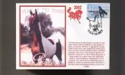 PINTO 2002 YEAR OF THE HORSE STAMP SOUV COVER