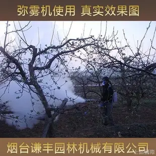 【限時下殺】閑農寶彌霧機汽油打果樹水霧電動高壓彌霧農業機械