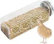 Quail Feeder - Bottle Shaped Birdfeeders with 4 Cute Bear Feeding Ports | Portable Chicken Feed Box | Seed Food Bird Jar Feeder for Quail Parrots Budgies Basilisks Finches