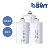 在飛比找momo購物網優惠-【BWT 德國倍世】SLIM TAP 廚房家用龍頭濾水器濾芯