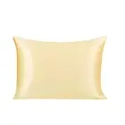 2pcs 25 Momme Silk Pillowcase for Skin Both Sides Silk Queen Gold Tone