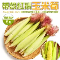 在飛比找momo購物網優惠-【WANG 蔬果】紅鬚玉米筍5斤x1箱(農民直配)