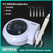 Dental Ultrasonic Piezo Scaler +5*Tips Handpiece Detachable Fit EMS Cavitron FDA