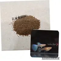 在飛比找蝦皮購物優惠-📦【貝果果魚坊】孔雀魚 飼料-天空藍-藍白照片