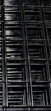 2400x950 Black Powdercoated 50x50x4mm Wire Mesh Sheets