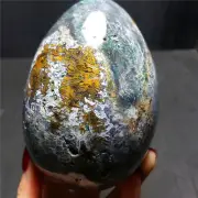 Rare 720.8G Natural Colorful Polished Ocean Jasper Crystal Egg Madagascar WB82