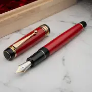 Pilot Namiki Custom 845 Urushi Ebonite Red FKV5MRR 18K Gold Nib Fountain Pen