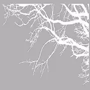 Innovative Stencils 1130 100 mwhite mirror Tree Top Branches Wall Decal Vinyl...