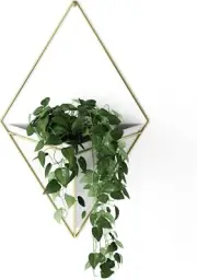Trigg Hanging Planter Vase & Geometric Wall Decor Container - Great for Succu...