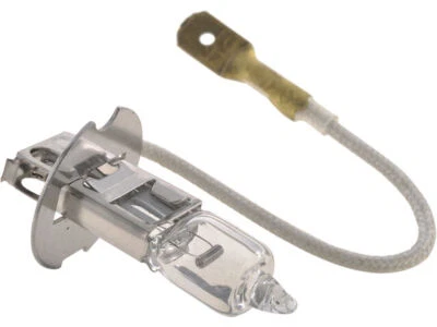 Front API ProTune Fog Light Bulb fits Chrysler TC Maserati 1989 87KZFT (for: Chrysler)