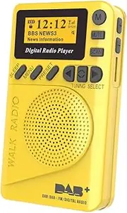 RAYWE Pocket DAB Digital Radio Mini DAB+ Digital Radio with MP3 Player FM Radio LCD Display