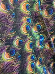 Spandex Fabric purple Peacock feathers 4 Way Stretch Nylon Spandex or Lycra/sold
