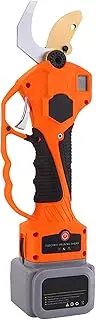 Professional Cordless Electric Pruning Shears with Screen, 2 Backup Rechargeable Lithium Battery, Powered Tree Branch Trimmers Pruner, 30mm (1.2 in) Cutting Diameter