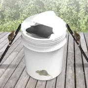 2 x Flip N Slide Bucket Lid Mouse Rat Trap Automatic Mouse Trap With Ladder