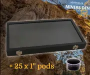 Glass Top Extra Large Nugget Display Case + 25 x 1" Pods