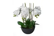 55 Cm Phalaenopsis Orchid Plant Artificial Flower Plant in Black Pot Potted Faux