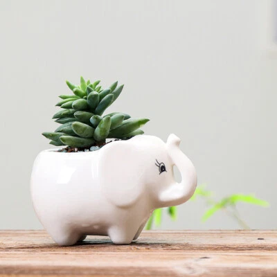 Ceramic Elephant Succulent Pots Hippo White Animal Planter Small Plant Flowerpot