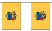 NEW JERSEY U.S. STATE BUNTING 9 metres 30 flags Polyester flag