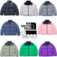 在飛比找蝦皮購物優惠-The North Face 北臉 1996 羽絨服 NUP