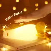 Existential Crisis Duck Lamp, 3 Level Dimmable Night Light for