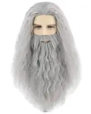 Gandalf Wizard Mens Wig & Beard