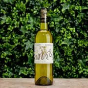 2023 Evans & Tate Metricup Road Semillon Sauvignon Blanc - Buy Online | The Wine Collective