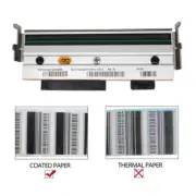 New Print Head For Zebra Z4M Thermal Transfer Printer 203dpi G79056-1M