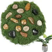 Solsew Fake Green Moss with Plant Pebble Set, 7oz Faux Artificial Moss for Craft 4.4lbs Small Decorative River Rock for Planters Decor Centerpiece Indoor Outdoor Garden Wedding Vase Filler