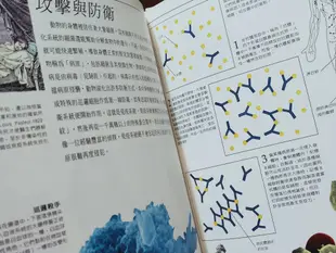 【童書】目擊者叢書 科學博物館 十二本合售 漢聲