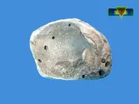在飛比找Yahoo!奇摩拍賣優惠-【寶物石坊】台灣化石（台灣早期本土貝殼化石）編號3＃它不是海