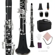 Professional Clarinet C Key 17key Clarinet Ebonite Body Nickel Plated keys