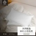 【JENNY SILK 蓁妮絲生活館】MIT 100%水鳥羽毛輕柔枕(輕柔款0.9KG 1入)