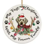 My First Christmas Labrador Dog With Deer Anlters Ornament Gift Decor Hanging