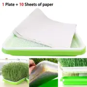 Nursery Pot Sprouter Tray Soil-Wheatgrass Grower Sprouting Sprout Tools