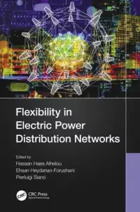 在飛比找博客來優惠-Flexibility in Electric Power 