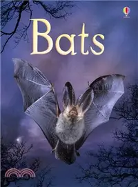 在飛比找三民網路書店優惠-Usborne Beginners: Bats