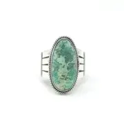 Delayne Reeves Sterling Silver Navajo Handmade Split Band Ring Damele Variscite