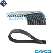 VRIBBED BELT 10PK1145HD FOR VOLVO NH12 D12C420/D12C380/D12C340/D12A420 12.1L