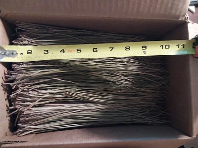 Florida new 2 lbs. pine needles mix sizes, basket weaving, crafts