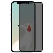 For iPhone 12 Pro Max - Tempered Glass Privacy Screen Protector Curved Anti-Spy