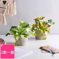 在飛比找PChome24h購物優惠-【Meric Garden】高仿真多肉植物療癒手工水泥小盆栽