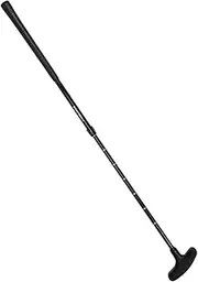 QSTDGVPW Durable Golf Putter with Scale Length Adjustable for Traveling, Indoors, Driving Range, Real Gold and Etc.