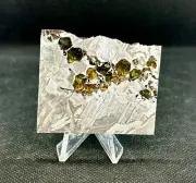 SEYMCHAN METEORITE PALLASITE PARTIAL SLICE 31,6 g