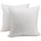 Cheer Collection Set of Down & Feather Throw Pillow & Couch Cushion Insert