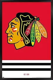 Trends International NHL Chicago Blackhawks - Logo 21 Wall Poster, 22.375" x 34", Black Framed Version