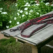 Essendon Bombers Dog Lead