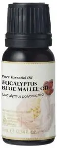 AUSGANICA Organic Essential Oil Eucalyptus Blue Mallee 10ml