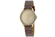 Coach Women's Gold Dial Watch - 14503218