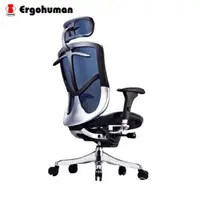 在飛比找PChome24h購物優惠-【ERGOHUMAN】Brant 131豪華版 人體工學網椅