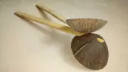 Coconut Shell Spoon with Wood handle kitchen Equipment Handmade Eco Friendly